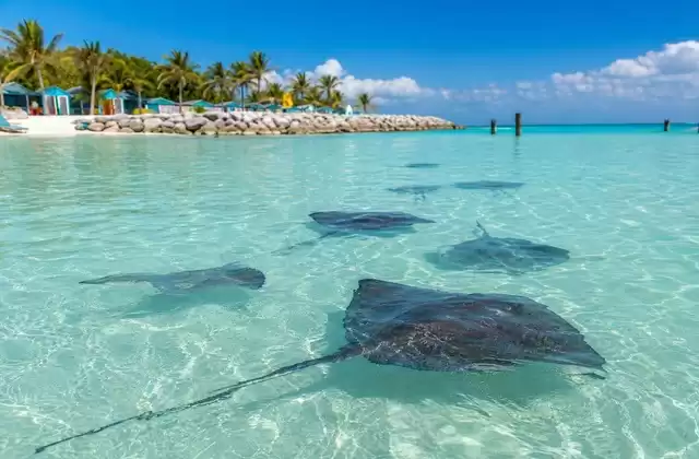 Great Stirrup Cay (NCL)