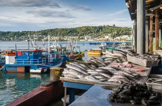 Puerto Montt