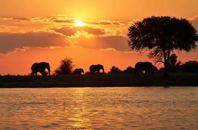 Coucher de soleil sur le fleuve