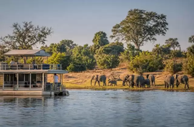 Navigation près du parc national de Chobe