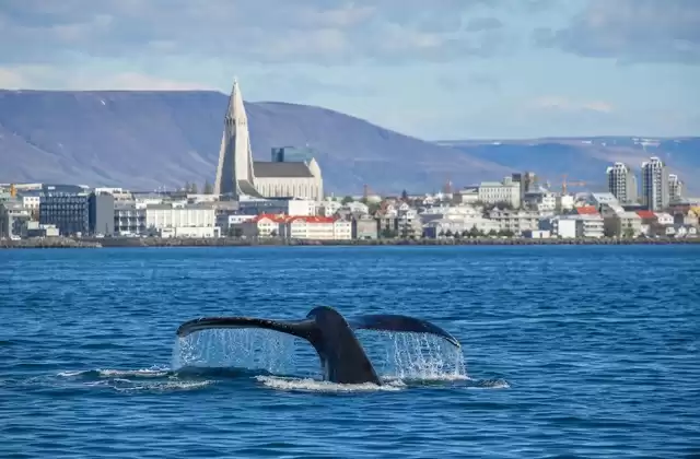 Reykjavík