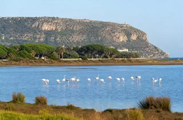 Cagliari
