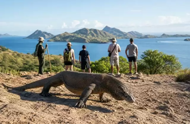 Parc national de Komodo