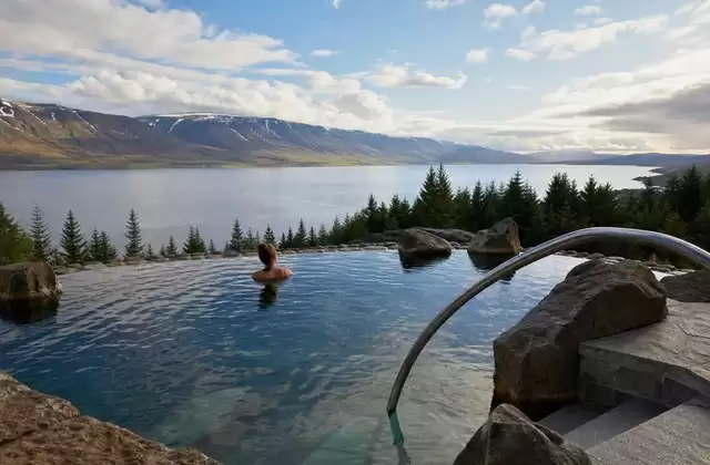Forest Lagoon avec vue sur le fjord