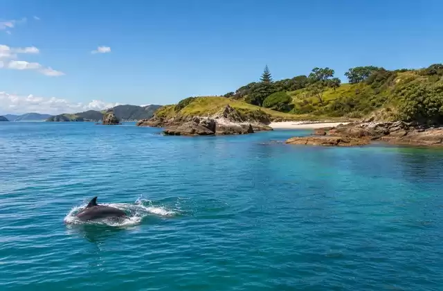 Bay of Islands