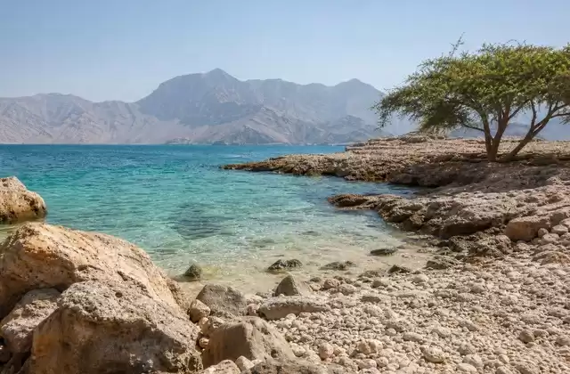 Télégraph Island