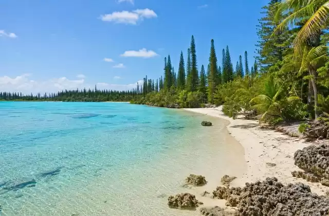 Île des Pins