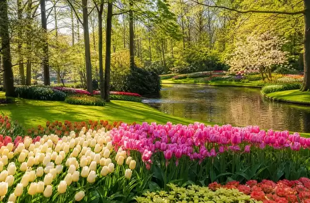 Keukenhof