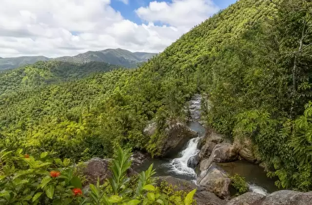 El Yunque