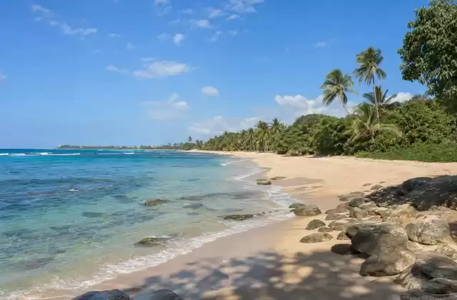 Ocean Park