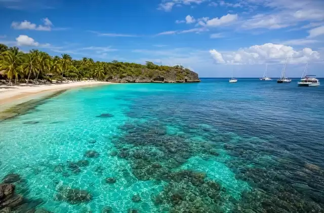 Île Catalina