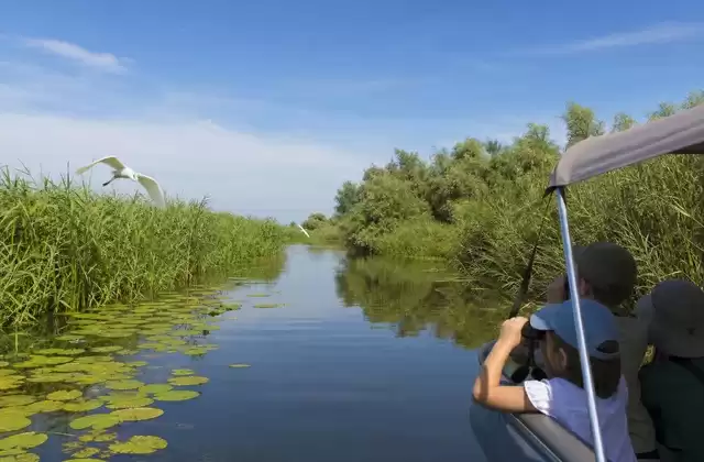 Canaux du delta