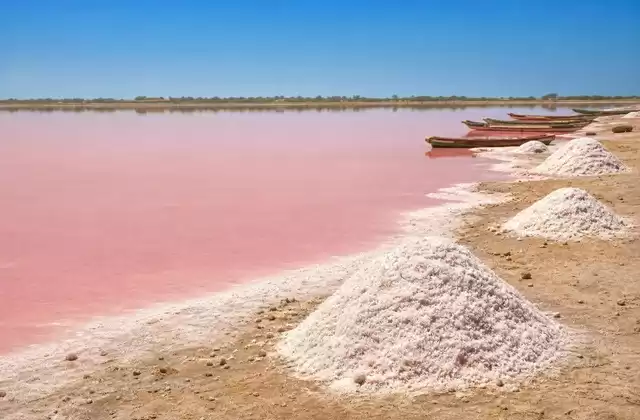 Lac Rose