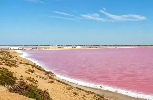Lac Rose