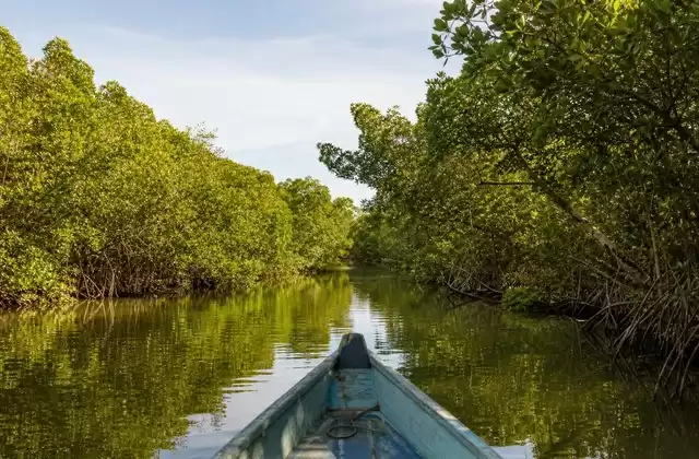 Delta du Sine-Saloum