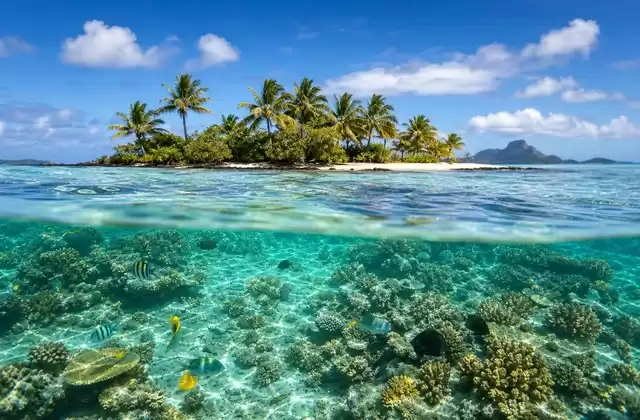 Motu Tapu (Bora Bora)