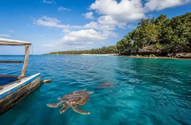 Prison Island