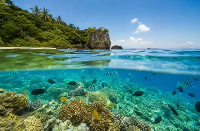 Snorkeling