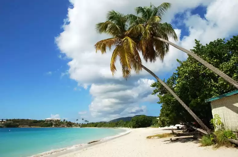 Saint thomas